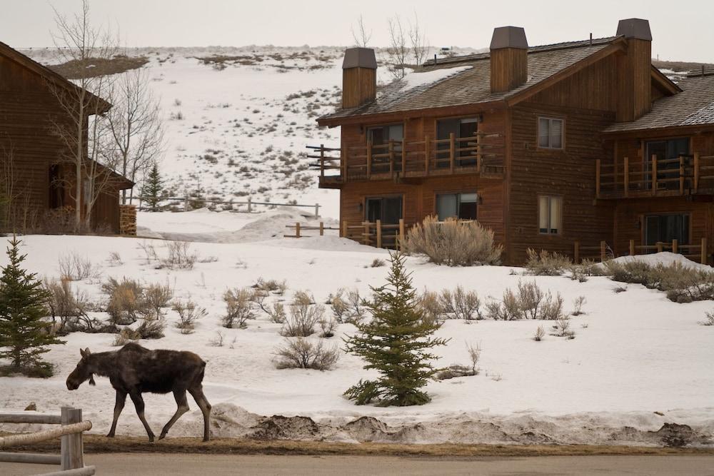 Hotel Spring Creek Ranch Jackson Zewnętrze zdjęcie
